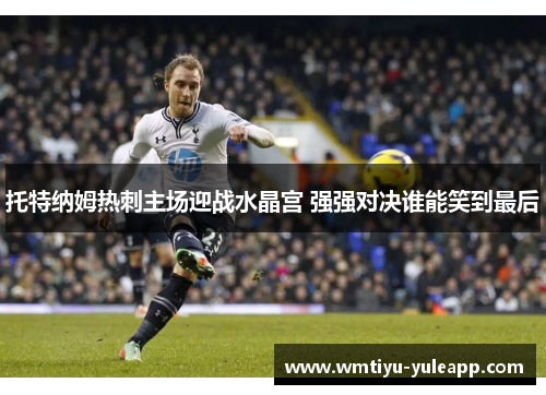 托特纳姆热刺主场迎战水晶宫 强强对决谁能笑到最后