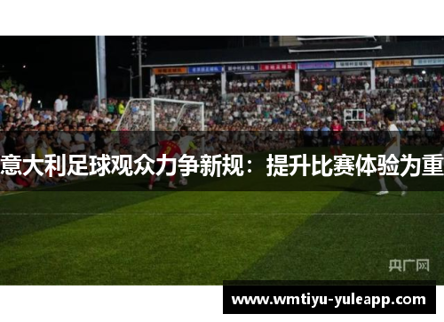 意大利足球观众力争新规：提升比赛体验为重